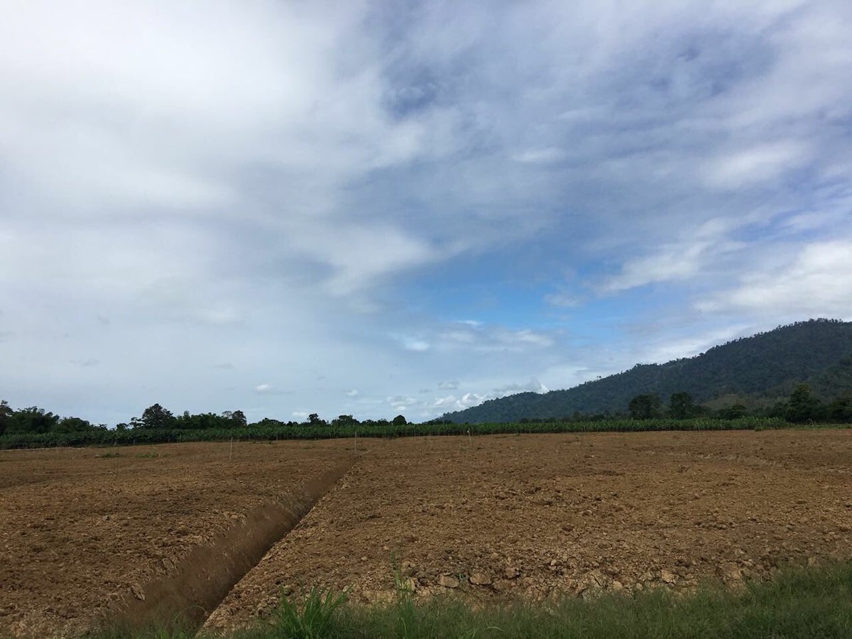 GSEpanama's tweet photo. Entregamos cerca de 300 hectáreas para el proyecto denominado Preparación de suelo para La transnacional bananera @Chiquita que contemplaba los trabajos de tapado general, conformación de domos, construcción de canales y aplicación de enmienda en la provincia de Bocas del Toro. https://t.co/S2pDWBzH50
