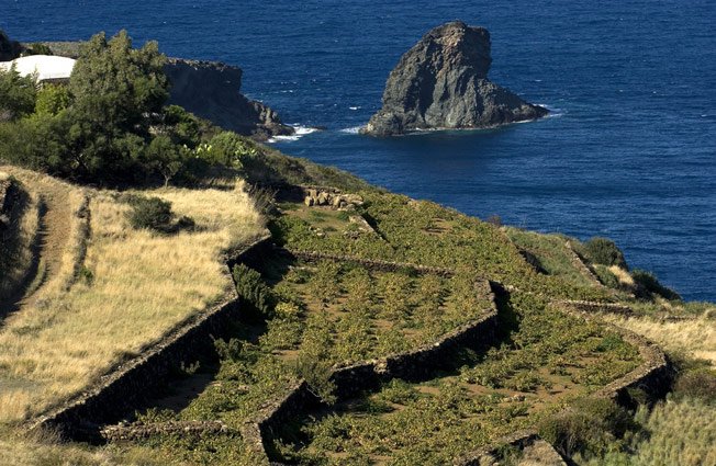 Come capolavori d'arte e di #architettura i paesaggi vinicoli del #Piemonte della #Toscana e di #Pantelleria tra i Siti #Unesco ,e diventano meraviglie dal valore universale bit.ly/2D3pG7q