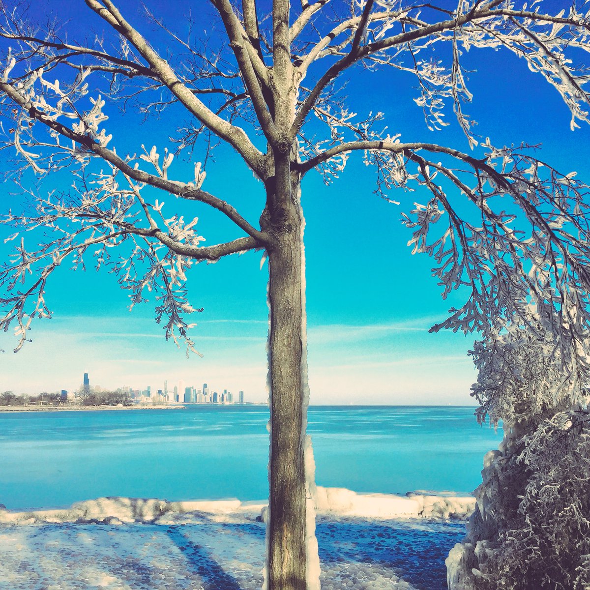 HydePark_CHI's tweet photo. A look at a few more icy shots from Promontory Point, where the wind, waves, and #winter weather have been working wonders. #HydeParkChicago https://t.co/COO0UiEOCn