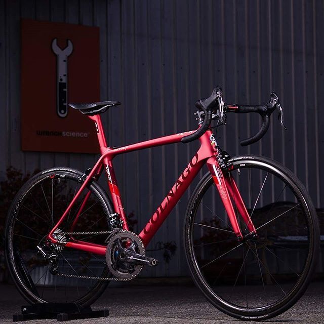 colnago v2r 2019