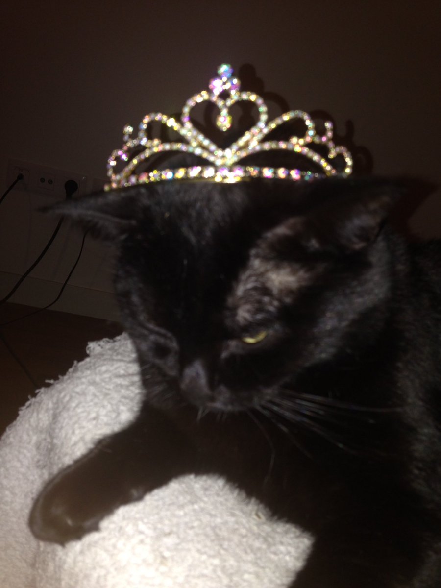ALTURAYYA's tweet photo. La dernière part était réservée à Caramiel. Et la fève était dedans. Vive la Reine !  @isis_losange @pka13 https://t.co/Vcu1gmHMDr