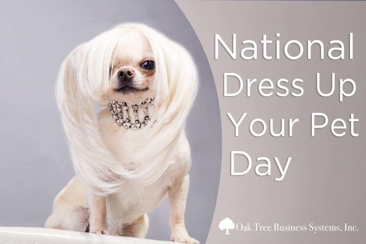 OTBS_CUforms's tweet photo. It's #NationalDressUpYourPetDay Is your #creditunion offering commercial loans in your community? 💼
Get #compliantdocuments here https://t.co/ijKIQo1dK3 https://t.co/rvqjd7gu5I
