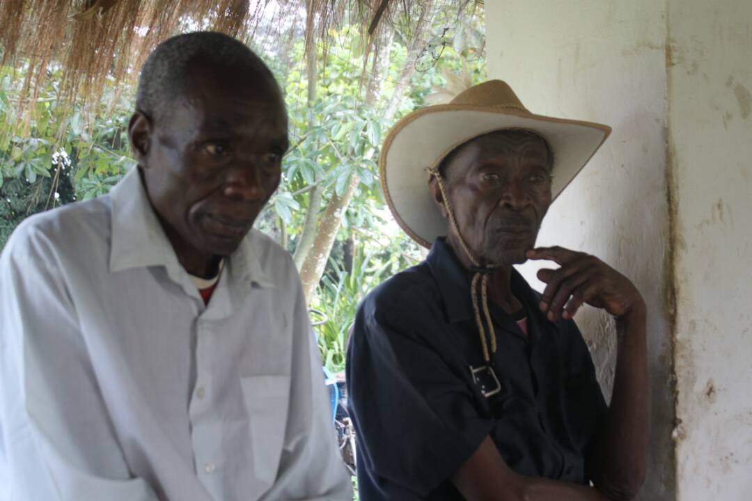 AFIA MAMA RDC tweet media