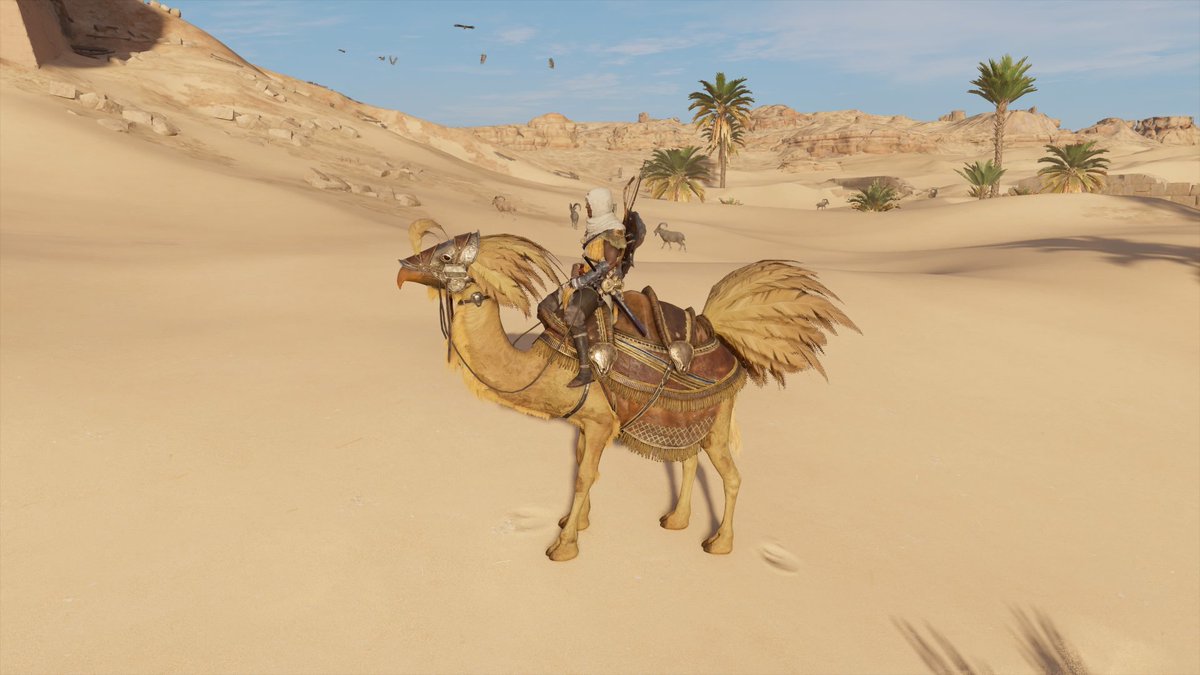 Andrew Racz (@raczaru) | Twitter