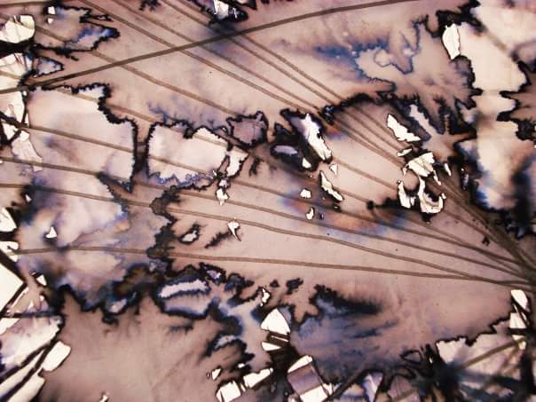 margherita_toma's tweet photo. Overlaying. My #washedup #markerpens #with #water #Watercolour #watercoloureffect #with #wet #paintbrushes https://t.co/Mht6xxT41O