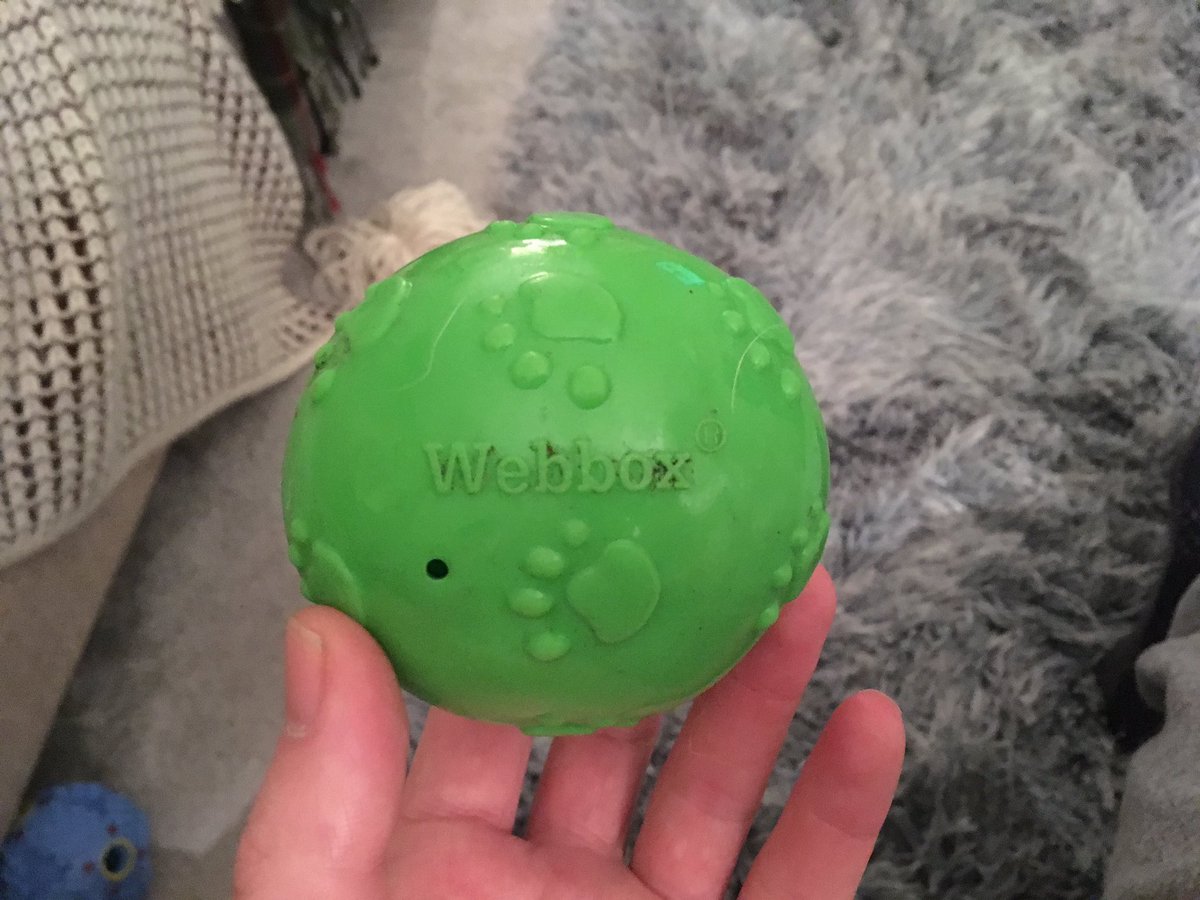 asda dog toy