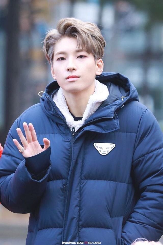 wonbrow's tweet photo. https://t.co/wccN8fmTES