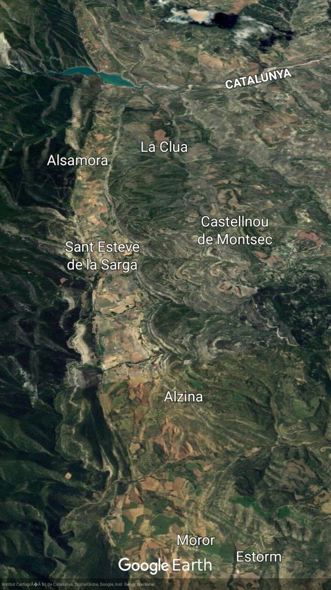 jordi navarra torres tweet media