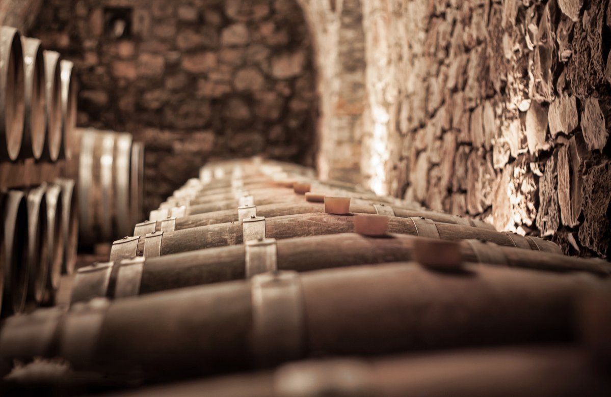 aspiringwinos's tweet photo. Have you ever read Wine and War, about the wine industry during and after WW2? Take a look! https://t.co/YQR716MMz5 https://t.co/n52AWdLM0T