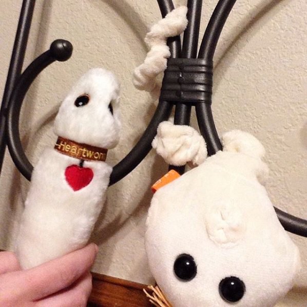 Tapeworm Stuffed Animal 2024 www rporate sports .ua