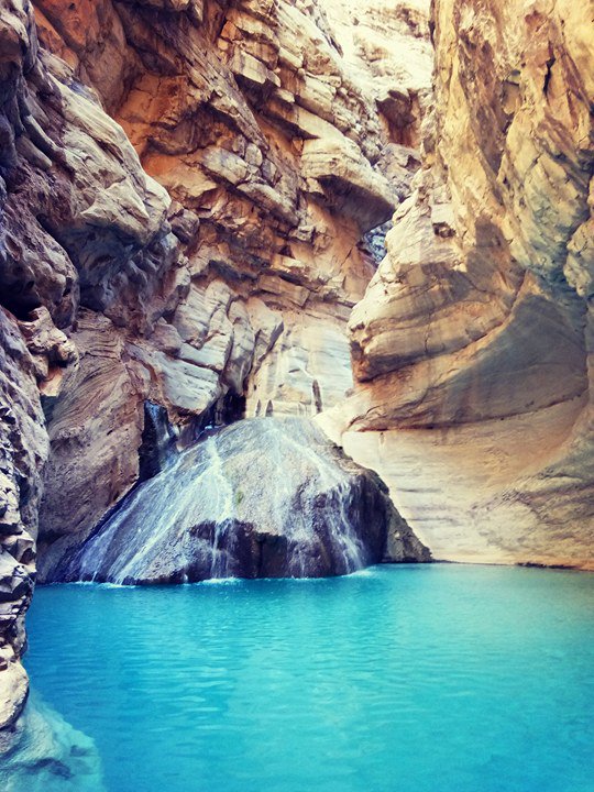 discoverbaloch's tweet photo. Crystal clear turquoise water pond of Charoo, Khuzdar, #Balochistan
PC: Yasir Hussain
#Crystal #turquoise #water #pond #Charoo, #Khuzdar,
@atiqkurd @HemnaBezinjo @zehri_Rubina @EhsaanMeer @ateeqabaloch @Maheenbaluch https://t.co/kdY2sAXUZk
