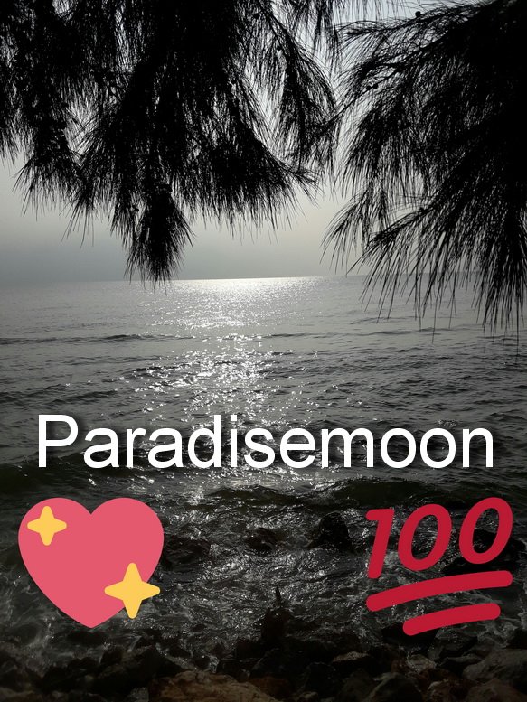 Paradisemoon Boutique Radio tweet media