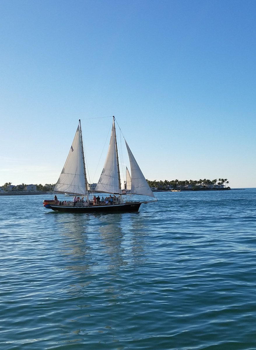 andrewking64's tweet photo. On this cold snowy day in the 'burg, I wish I was back in this place !!!
#keywest #islandlife https://t.co/zE3cCTd1je