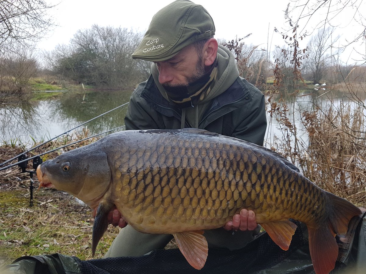carpyray's tweet photo. 28lb common first one of the year https://t.co/v3fV86HYSH