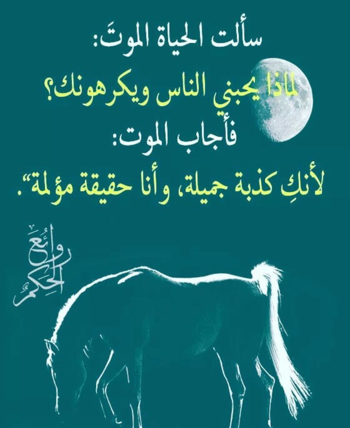 إبراهيم الناعبي (@ibrahim16615) on Twitter photo 