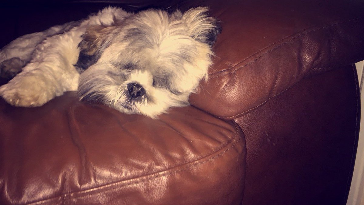 We have had fun today playing with toyah but not we are really sleepy 😴