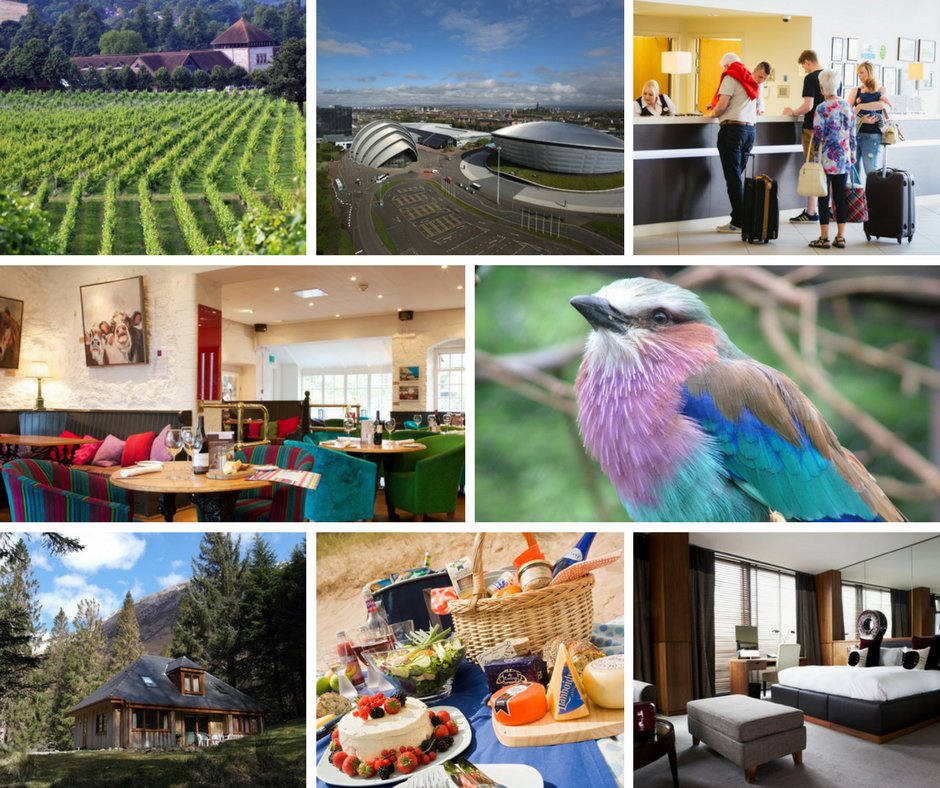 Prestigious #GreenTourism Gold Awards achieved by <a href="/BirdworldSurrey/">Birdworld</a> <a href="/denbiesvineyard/">Denbies Wine Estate</a> @holidayinnwinch <a href="/OTRWales/">Over the Rainbow</a> @SECCGlasgow <a href="/Glencoe_Cottage/">Glencoe Cottages</a> @aviatorbytag <a href="/Dev_Hotels/">The Devonshire Arms Hotel & Spa</a> showing how #sustainability can be adopted into everyday business with fab results for bottom line &amp; environment!