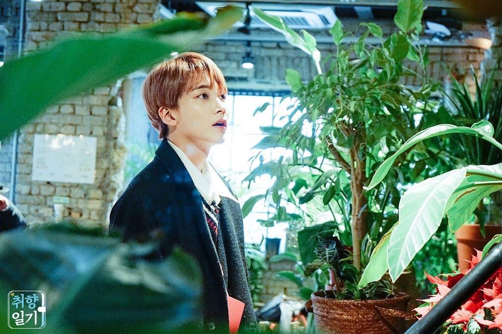 goingwithsvt's tweet photo. Jeonghan admires the plant the way I admire him https://t.co/QAlRMMu9KI
