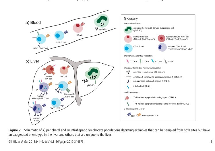 environmental risk assessment of genetically modified volume 1