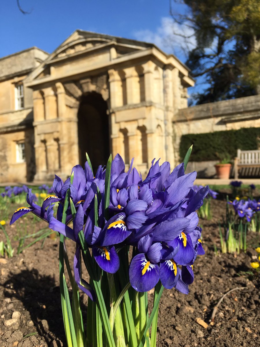 Rare &amp; exciting opportunity! Oxford Botanic Garden is recruiting for a new curator. As the UK's oldest botanic garden approaches its 400th birthday, be a big part of its future. 
Please spread the word! 
jobs.ac.uk/job/BGY055/bot…