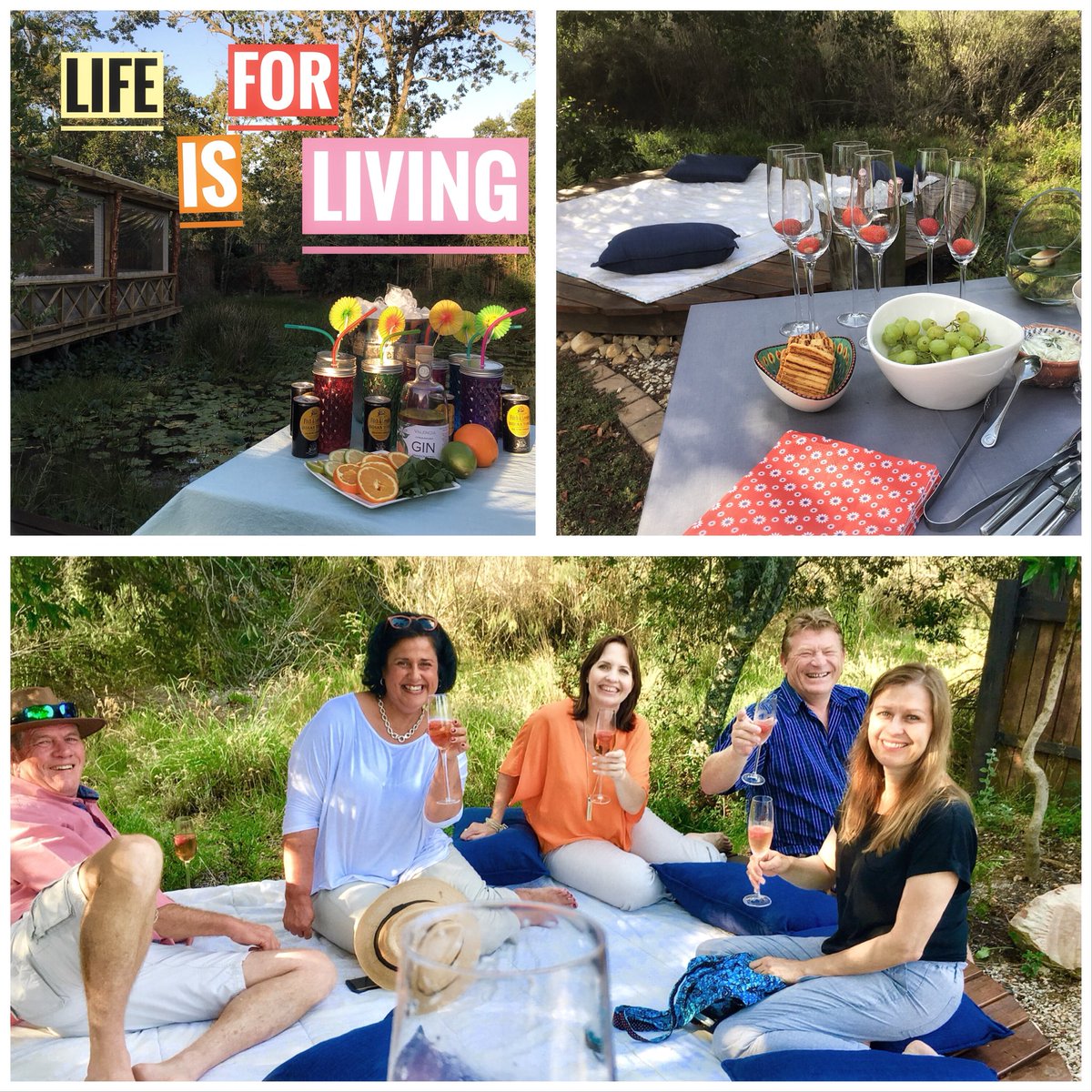 Forest_Edge tweet media