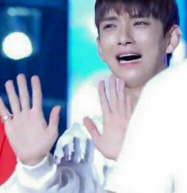edwayles's tweet photo. memes do seventeen que dão ótimos icons https://t.co/1uUgs2UBlN