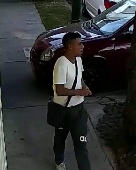 <a href="/c4jimenez/">Carlos Jiménez</a> @SSP_CDMX @Del_Coyoacan <a href="/DelegacionBJ/">BJ</a> @OpEsMx <a href="/alertasurbanas/">Alertas Urbanas AU ⚠️</a> <a href="/JMRivaPalacio/">Mariano Riva Palacio</a> <a href="/franciscozea/">Francisco Zea</a> <a href="/chochos/">TENIENTE CHOCHOS</a> <a href="/arnemx/">Arne aus den Ruthen</a> <a href="/Vicente_Galvez/">Vicente Gálvez</a> <a href="/Radiohen/">Leo Arriaga</a> <a href="/warkentin/">Gabriela Warkentin</a> <a href="/Narvarte_/">Narvarte</a> ¡Maldita rata! ¿Será el mismo que me robó las lunas afuera de mi casa? 🤔 Aquí su jeta 👇