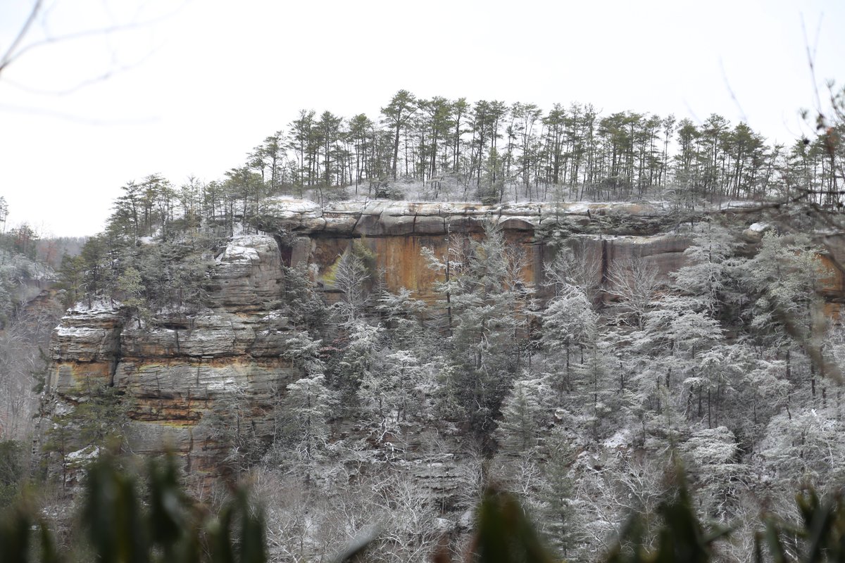 Todd_the_Hiker's tweet photo. #RedRiverGorge #Kentucky is beautiful any time of year, but a fresh blanket of snow makes it even more spectacular! And, with the temp last night down to 6 degF, I was thankful to have my @TETONsports Altos 0 degF down bag and insulated sleeping pad to keep me warm! #HikerChat https://t.co/NwNFByYyGz