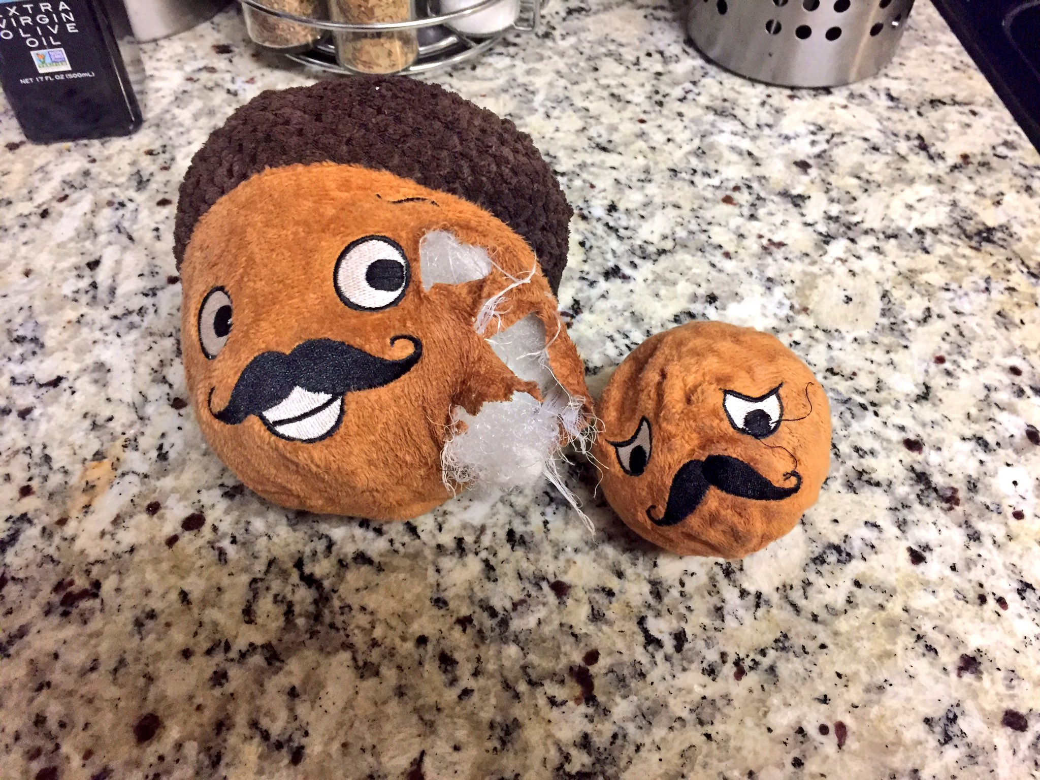 Barkbox toys inside sale toys