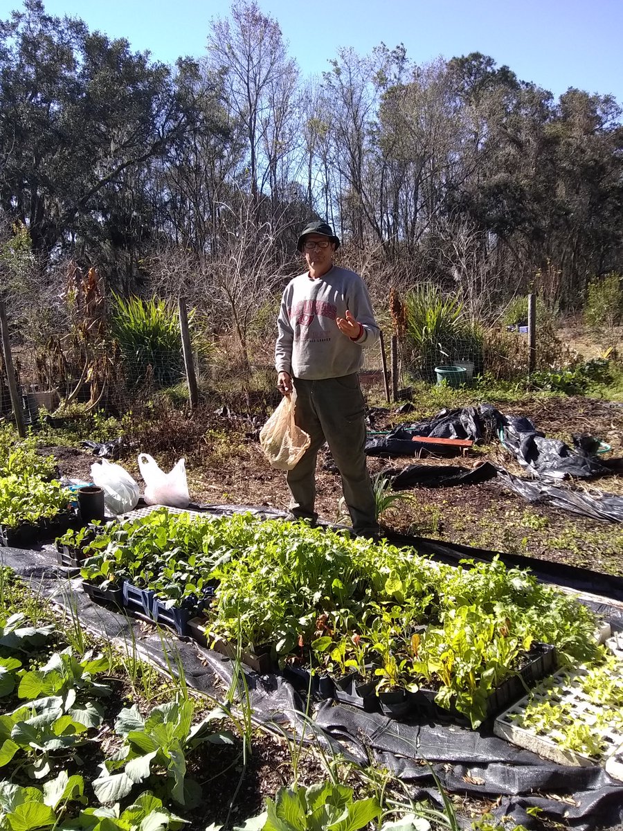 MsJax17's tweet photo. Visited Wendel's permaculture farm for a gathering and came back with lots of cross curricular ideas for school! #WeAreLMS #publicschoolproud https://t.co/hI6bGuDhgd