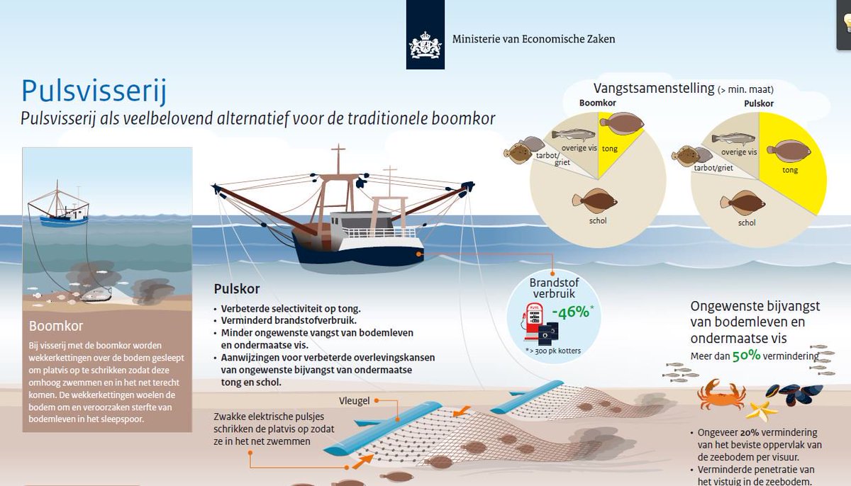 DIT IS PULSVISSEN!!! #VISSERIJ <a href="/NOS/">NOS</a> <a href="/RTLnieuws/">RTL Nieuws</a> <a href="/telegraaf/">De Telegraaf</a> <a href="/ADnl/">AD.nl</a>   <a href="/trouw/">Trouw</a>  #FAKENEWSVANFRANSEN #NGO