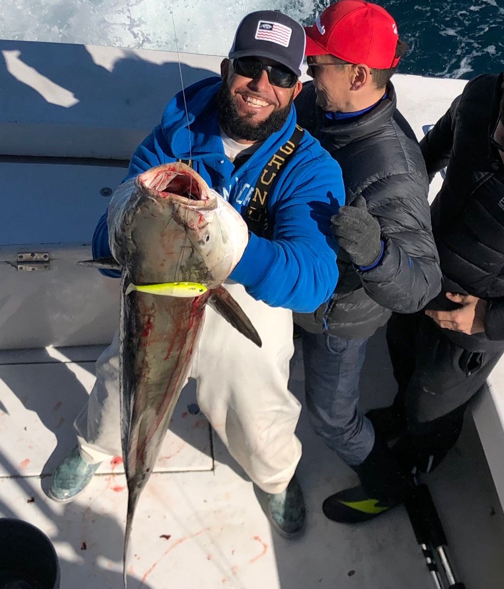 SpoolTekLures's tweet photo. Capt. Bobby Diaz with a nice cobia caught on the 6" Fatty in Electric Ladyfish pattern.  #spoolteklures #spooltek #cobia #cobiafishing #fishing #floridafishing https://t.co/52yFln6moO