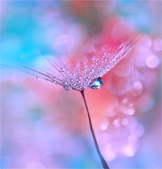 addyiceangel's tweet photo. Time to be elsewhere for a while.
Bye till later twitterverse.
✨🌸🌹🦋😊😇😊🦋🌹🌸✨ https://t.co/gF8ifsYxF1