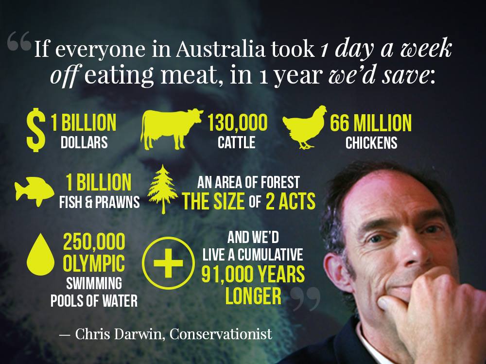 Animals Australia tweet media