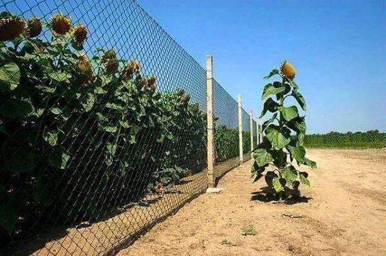 yalcinizbul's tweet photo. By segregating that one individual, society condemns itself to stereotypic banality.
#conservatism #otherization #ötekileştirme #society loses its #imaginative #innovative #impetus https://t.co/eNRhWEEDHD
