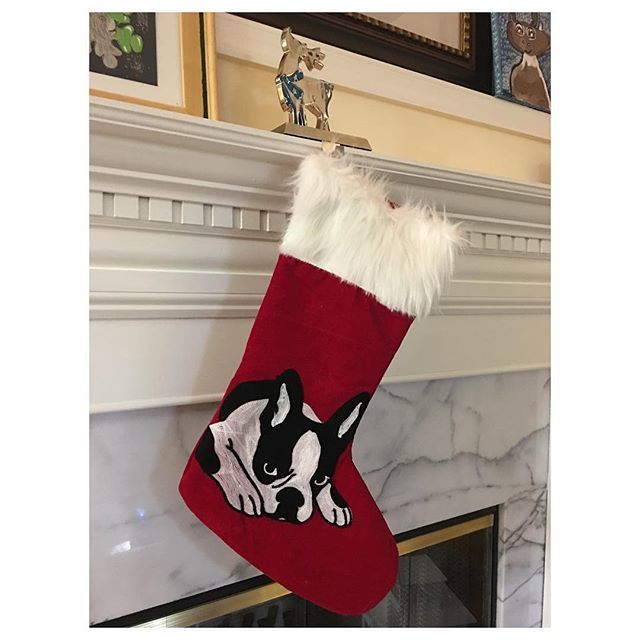 KevinDouville's tweet photo. #Christmas #present from @juniper_kat to #isadoraisadorable, who is not #spoiled at all. #btlove #bostonterrier #stocking #christmasstocking #fb #friendsdog https://t.co/eYTDMthjIf