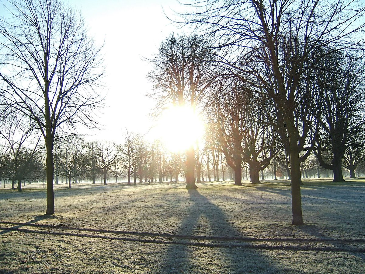 _Ciellou's tweet photo. Frosty winter walks ❄️😍 https://t.co/ay2SnuRZWg