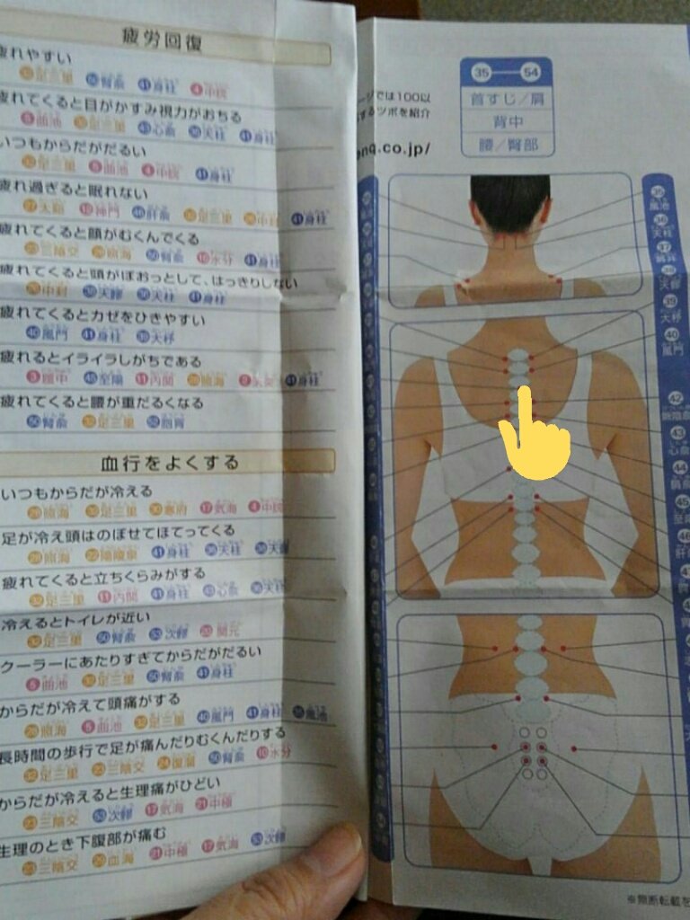 💉💉💉Taeko Yano💉💉💉解離性健忘起きる程どんな加害された?ASD&ADHD疑い (@taeko_yano) on Twitter photo <a href="/MPD_bousai/">警視庁警備部災害対策課</a> ツイートの写真位置はもっと上になります
写真位置だと
風問の位置ではなく
身柱 厥陰兪のツボ温めています
ジャンパーの背中にあるメーカータグに合わせて外から見えない位置に貼れば、温もり過ぎたら脱ぎ着調節できる上に貼るカイロに因る低温やけど予防になります
参考画像は千年灸の旧パンフです <a href="/MPD_bousai/">警視庁警備部災害対策課</a> ツイートの写真位置はもっと上になります
写真位置だと
風問の位置ではなく
身柱 厥陰兪のツボ温めています
ジャンパーの背中にあるメーカータグに合わせて外から見えない位置に貼れば、温もり過ぎたら脱ぎ着調節できる上に貼るカイロに因る低温やけど予防になります
参考画像は千年灸の旧パンフです