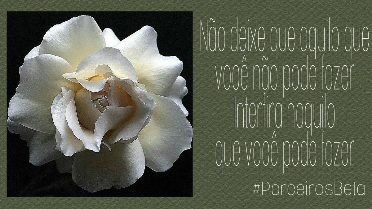Ronaldo57012018's tweet photo. #parceirosBeta 
@parceirosbeta https://t.co/4H8DbbjAUh