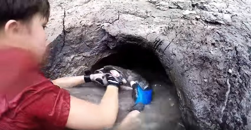 ViralOzon tweet media