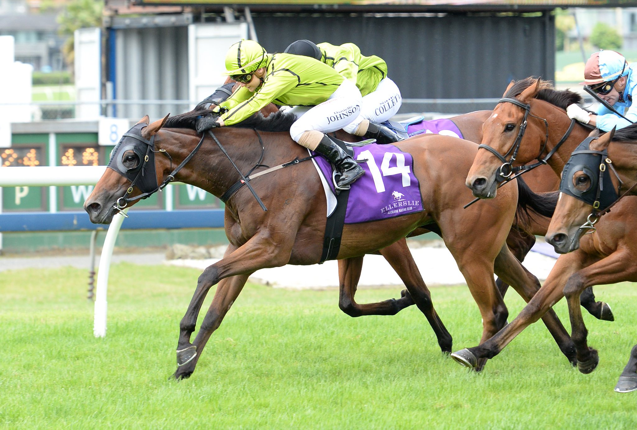 NZ Racing News on Twitter: 