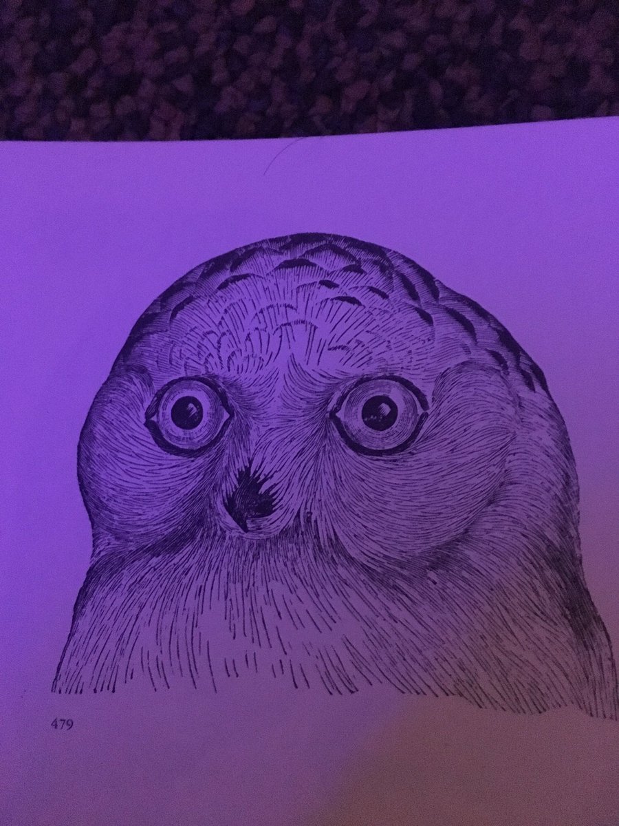 Jackconner20's tweet photo. He seen some shit https://t.co/pYR0InWK9a