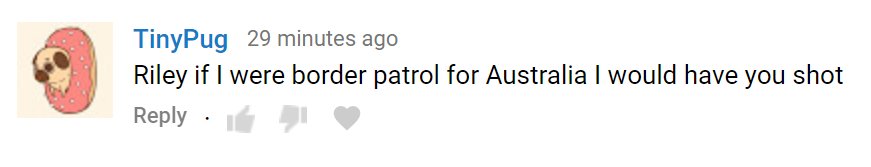 a youtube comment reading "riley if i were border patrol for australia i would have you shot".