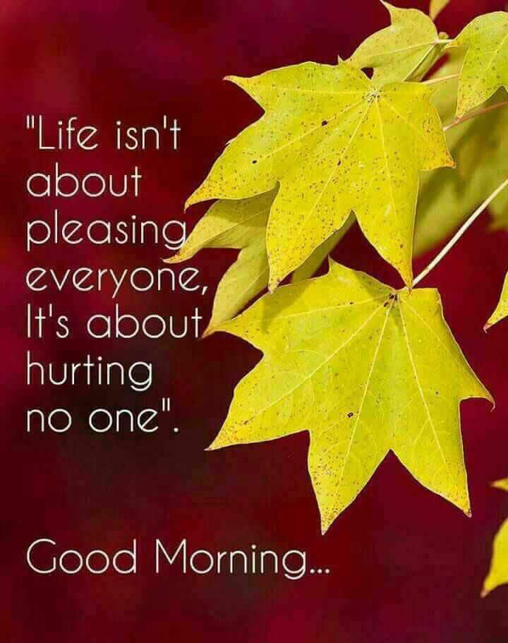 reyaz4you's tweet photo. Good Morning. 
Hope you have made someone smile today. Be the reason someone looks forward with hope and dares to dream again. https://t.co/qAFe9iAphB