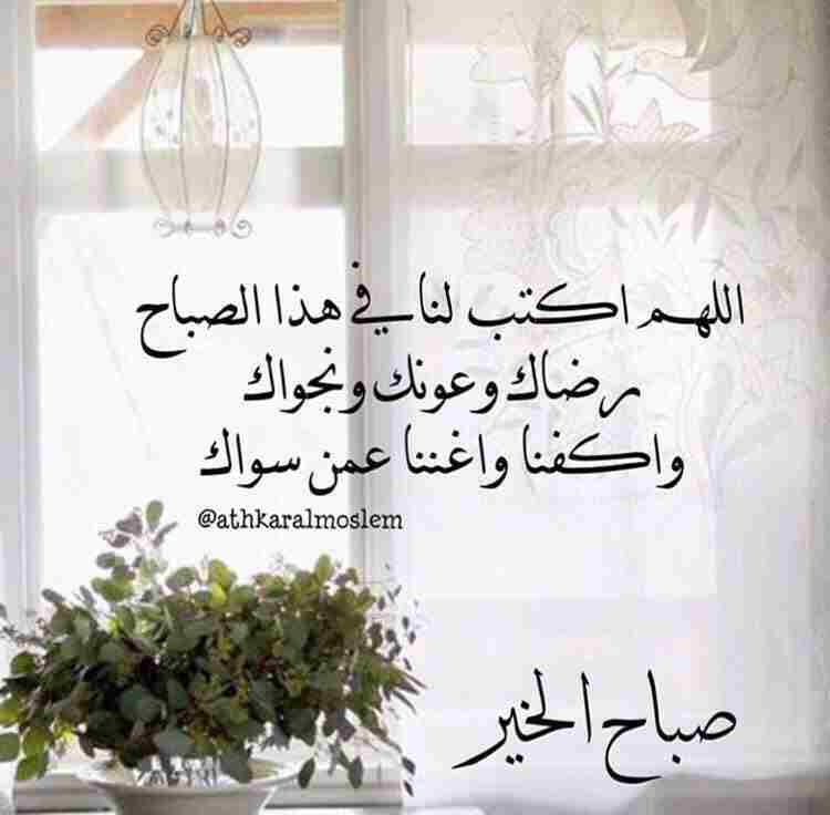 mahmoud saleh (@mahmoud1976516) on Twitter photo 