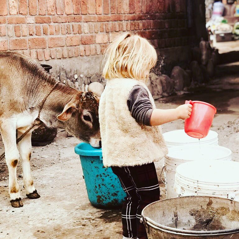 JontyRhodes8's tweet photo. India Rhodes may be a Mumbaikar; but she is equally at home in the countryside #uttarakhand #ganga https://t.co/Hm4wZ340z9