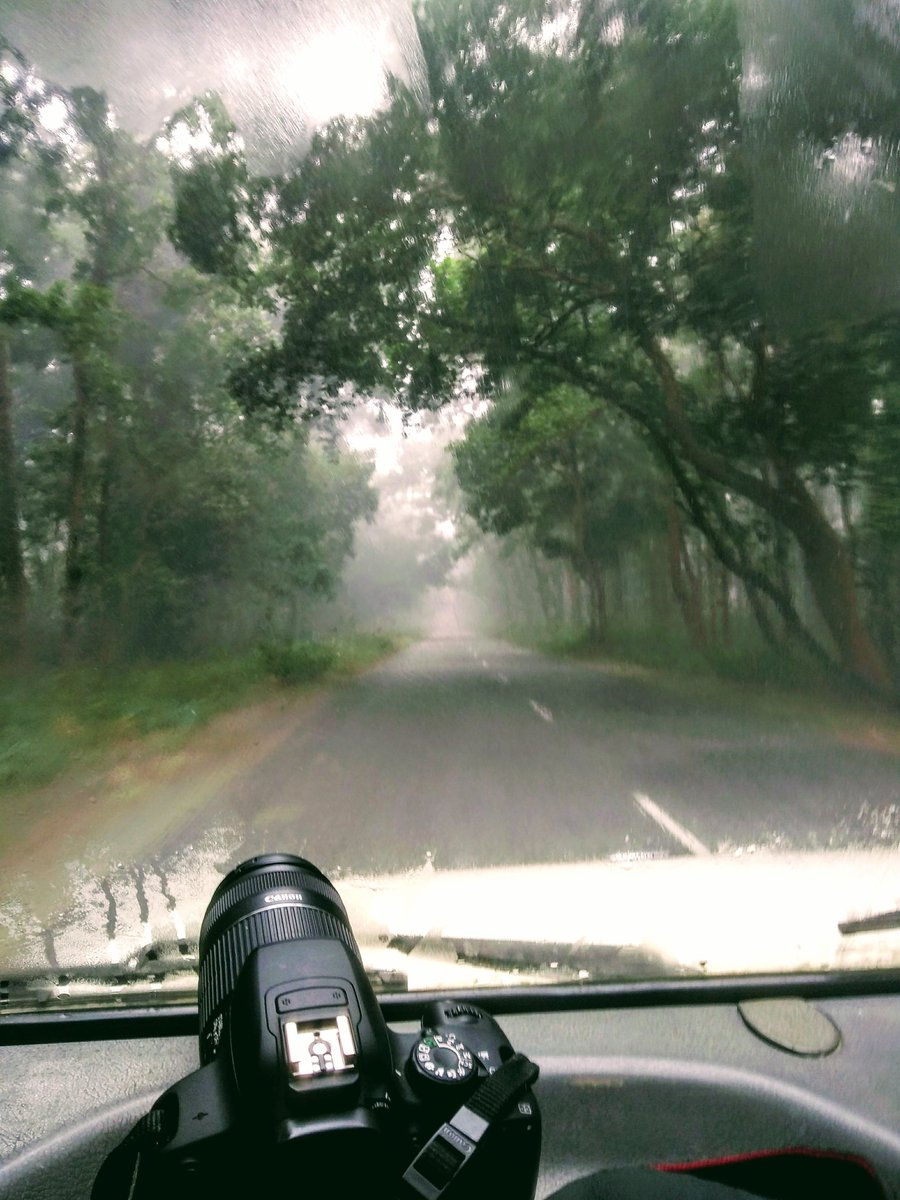 Ruled_by_third's tweet photo. Roadtrip.#MondayMotivation #travelphotography #travel #TravelTuesday #ttot #ttot #roadtrip #India #UFCSTL #NatGeo #NatGeoWild #NatGeoNature #animalplanet #AnimalRights #nature #naturephotography https://t.co/ZYnyiOSEaV
