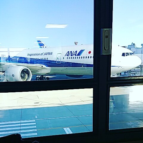 高速道路の真ん中で止まる車が危ないように、変化の激しい現代社会で止まっていることは、それだけ危険だ！
by孫正義

確かに高速道路で止まったら危ないよねー！！
今日も頑張りましょ♪