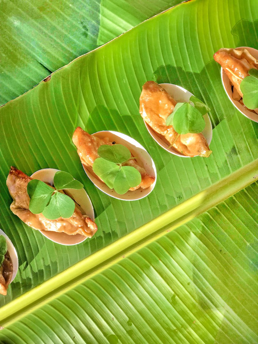 Chanterelle gyozas with chanter-ale sauce and redwood sorrel from the  #bigsurforagersfestival 🥟☘️ 
#cantharellus #woodsorrel