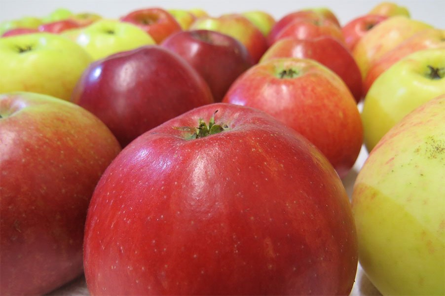 2018.gads ir sācies un kļūst arvien aukstāks
Āboli ir tie mūsu augļi, kas sniedz bagātīgu vitamīnu un minerālvielu devu šajā gada laikā.
puresdarzi.lv/veikals/2018-g…